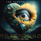 Look At You Now Flower Kings