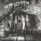 Nights in the Ruts Aerosmith