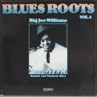 Ramblin' And Wanderin' Blues Williams Big Joe