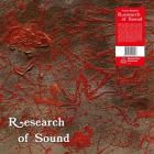 Research Of Sound Roelens Puccio