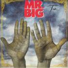 Ten Mr. Big